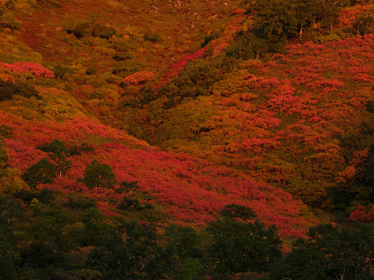 ギャラリー】林 明輝 写真展『GFX RAW 〜呼応する自然風景
