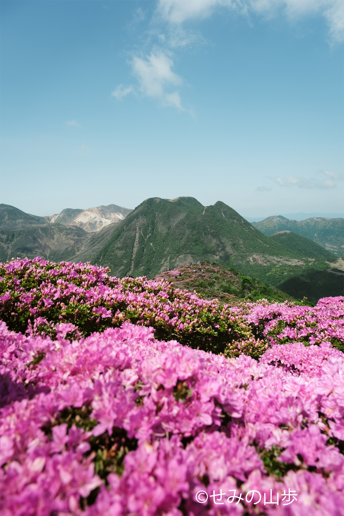 ギャラリー】せみの山歩写真展「私が見た景色」 | FUJIFILM（富士